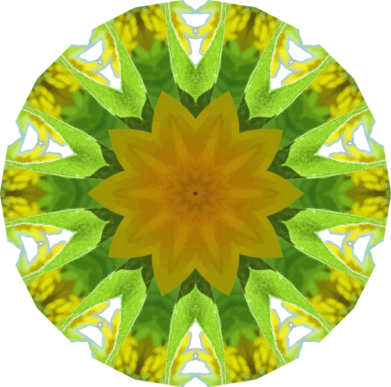 Sunflower kaleidoscope 11
