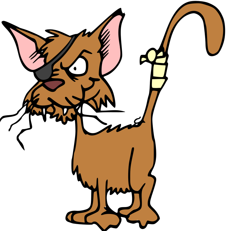 Fighting cat