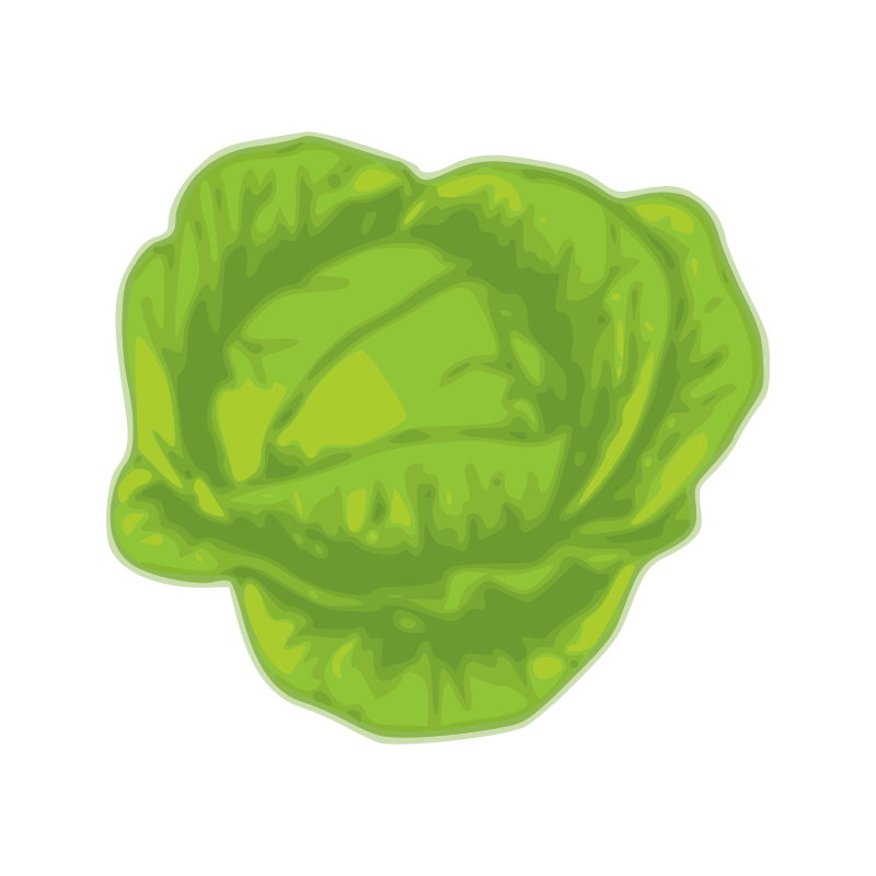 cabbage