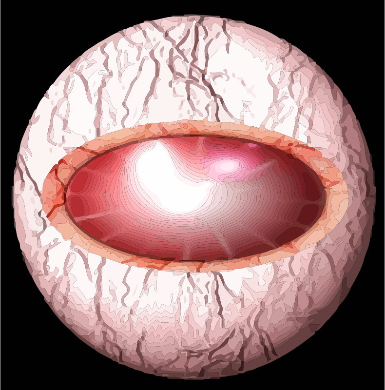 eye
