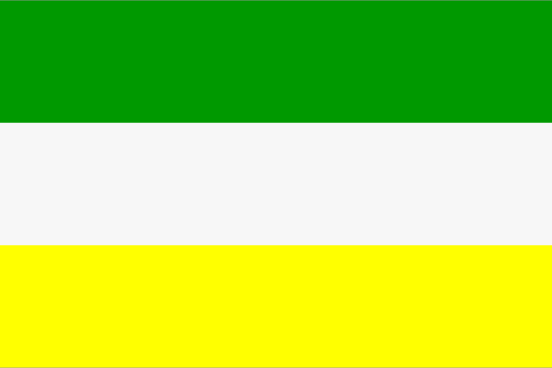 Juliana Flag