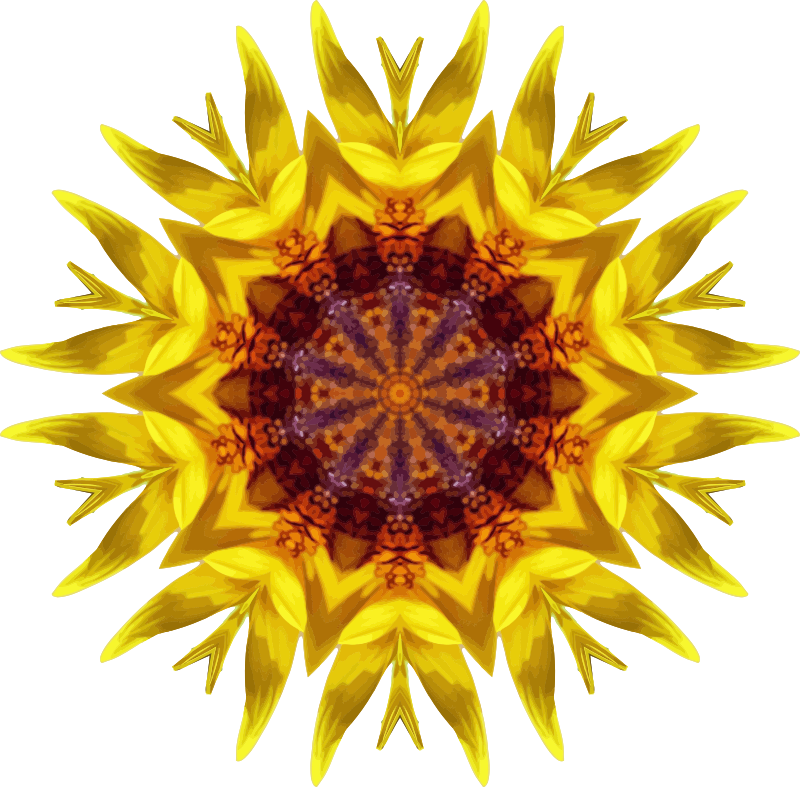 Sunflower kaleidoscope 18