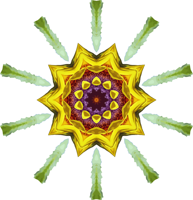 Sunflower kaleidoscope 19