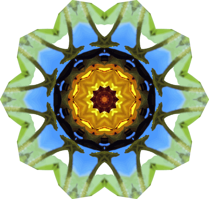 Sunflower kaleidoscope 22