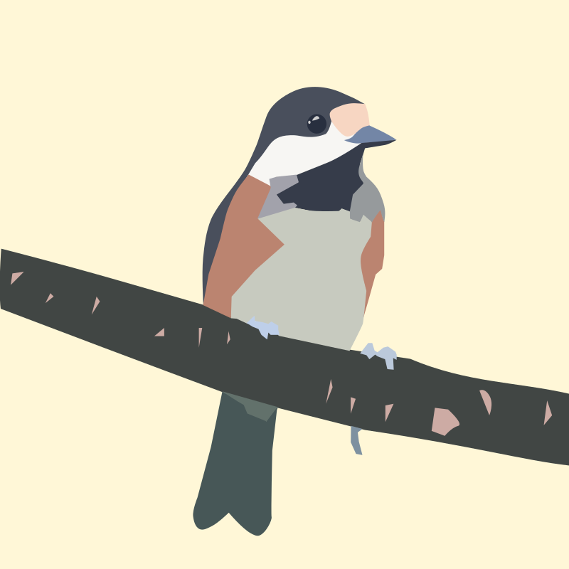 Varied tit 01 remix