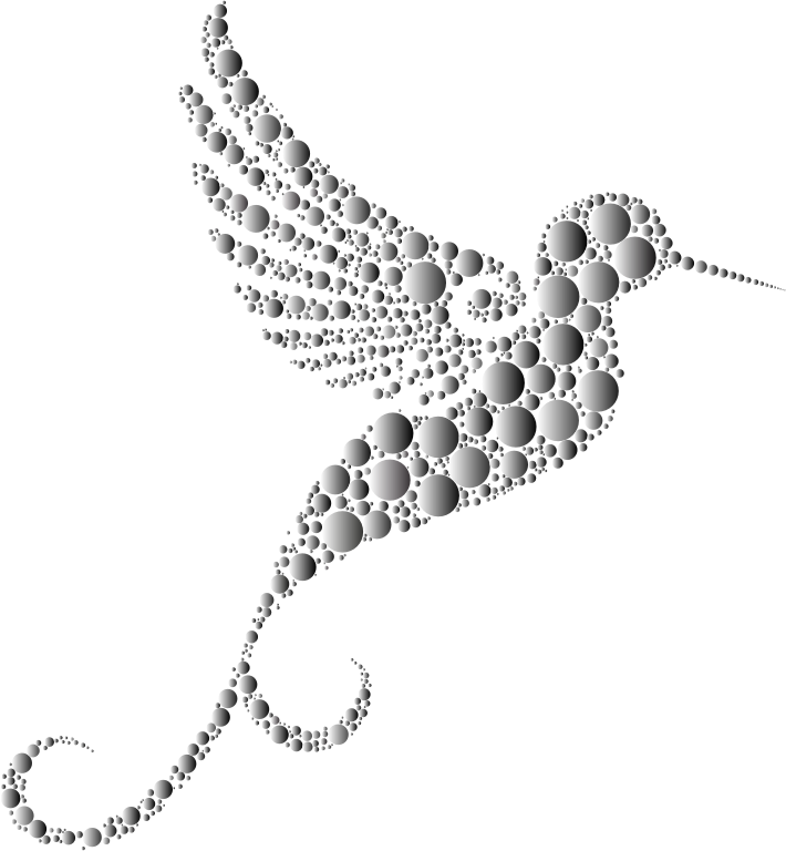 Prismatic Hummingbird Circles 8 No Background