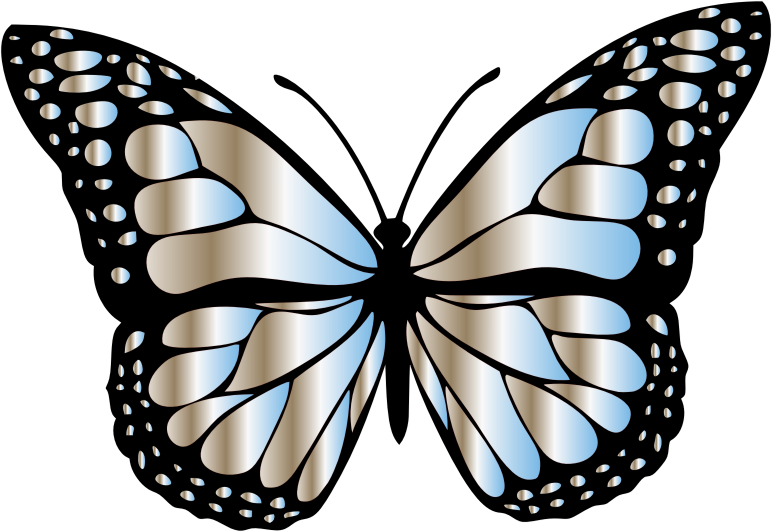 Monarch Butterfly 2 Variation 10