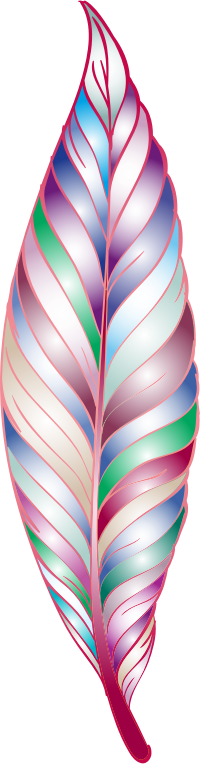 Prismatic Feather