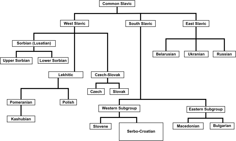 Slavic Language Diagram