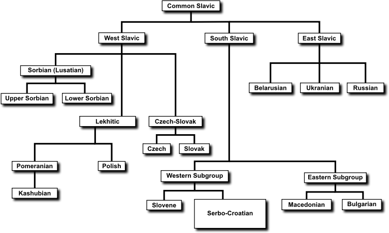 Slavic Language Diagram With Drop Shadow