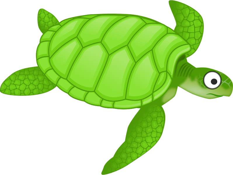 Cartoon turtle 2
