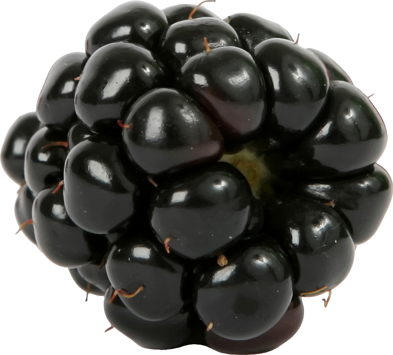 Blackberry