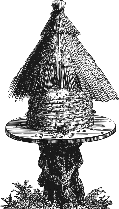 Beehive
