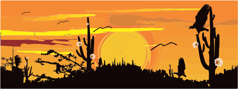Desert Silhouette