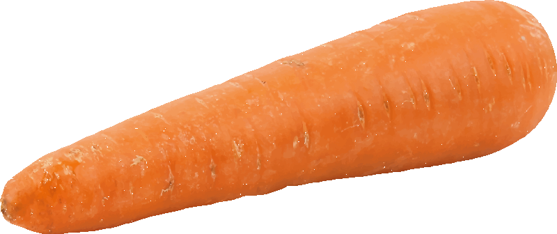 Carrot