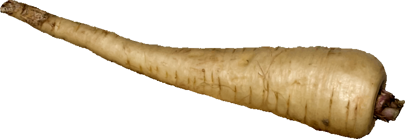 Parsnip