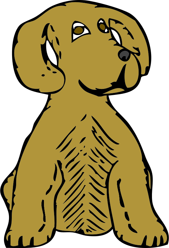 dog front view