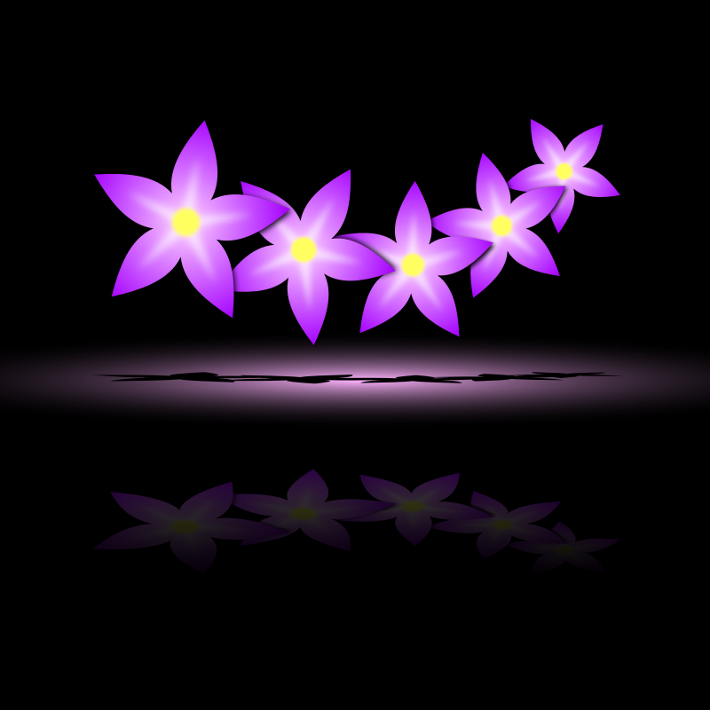 Flowers 7