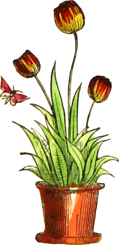 Flower 82