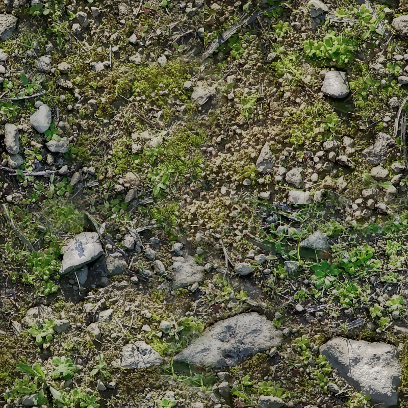 Rocky ground