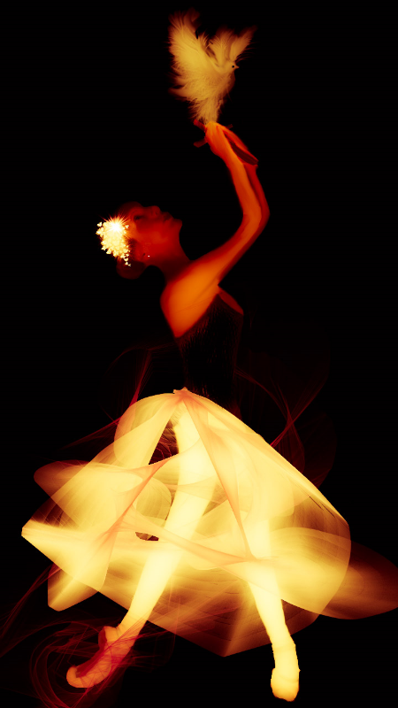 Ballet Golden Light Dove Ballerina Suite