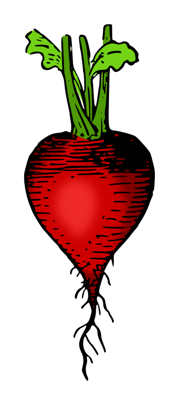 Lutz - radish colored