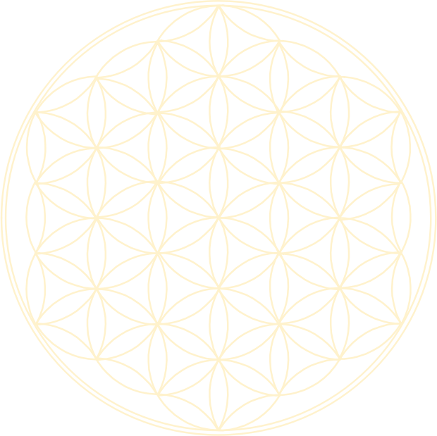 flower of light
