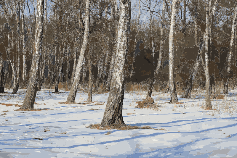 Birchwood Slavnoe 2012 G1