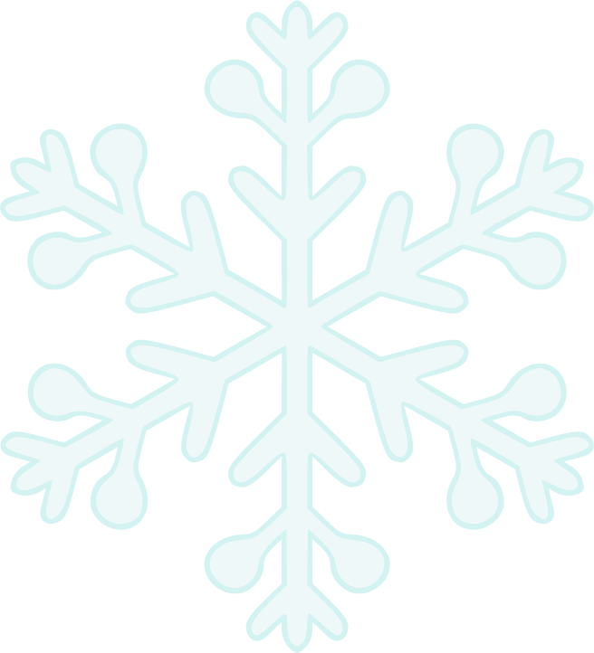 Snowflake 11