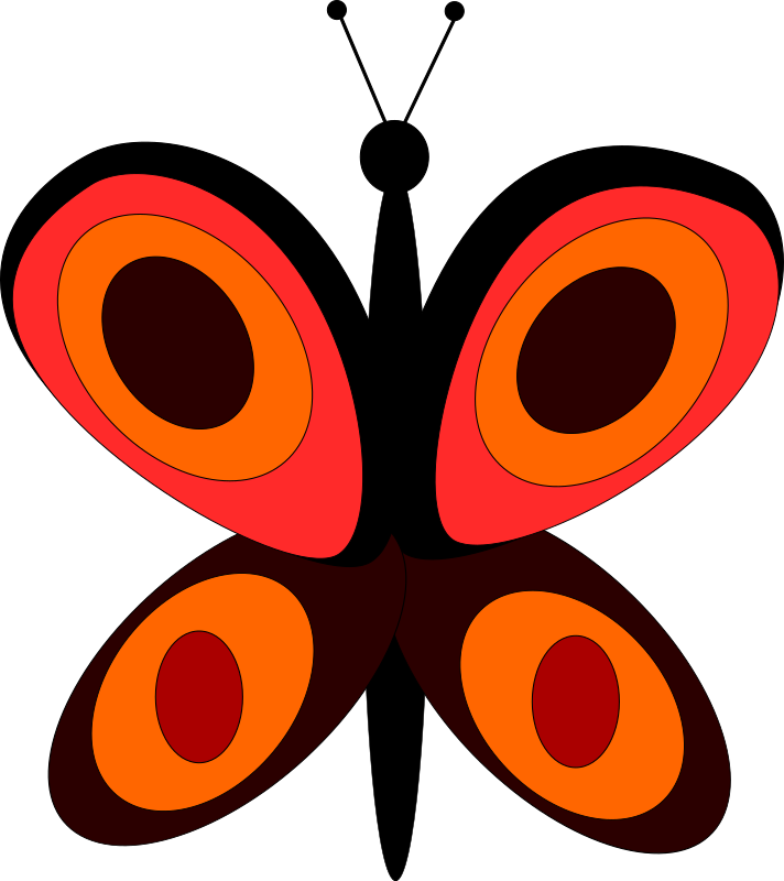 little butterfly