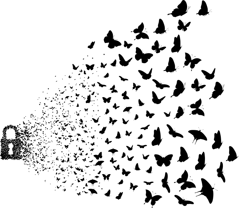 Lock dissolving into butterflies