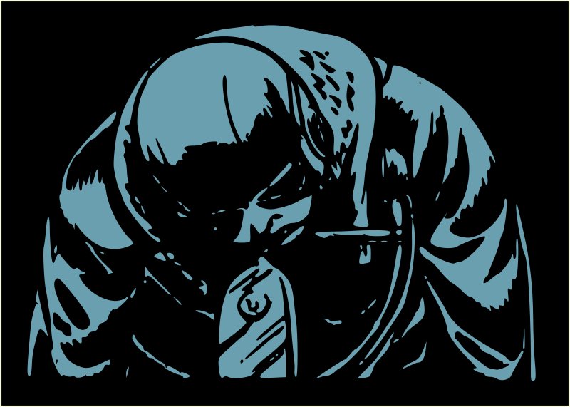 Dead pilot