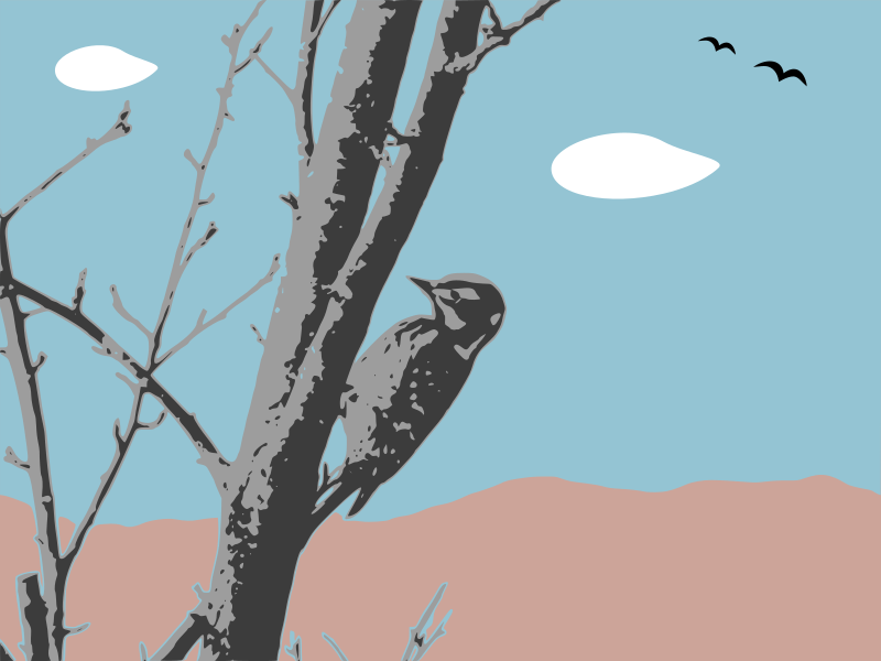 landscape with woodpecker
