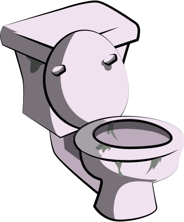 Filthy Toilet