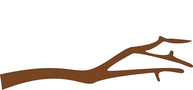 Branch Silhouette