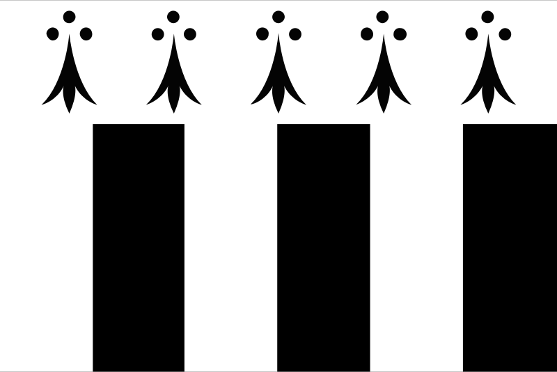 Flag of Rennes, France