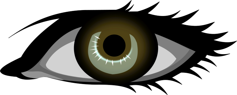 Brown eye