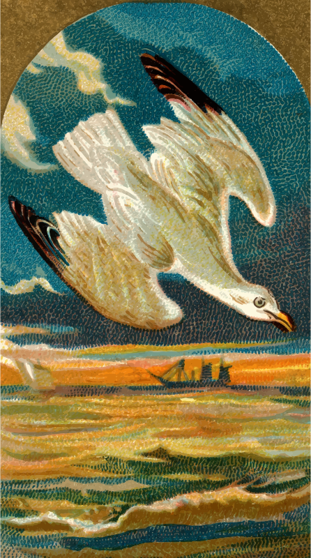 Cigarette card - Seagull