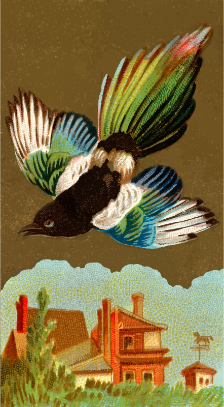 Cigarette card - Magpie