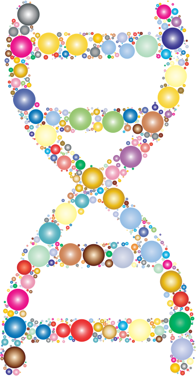 Prismatic DNA Helix Circles 2