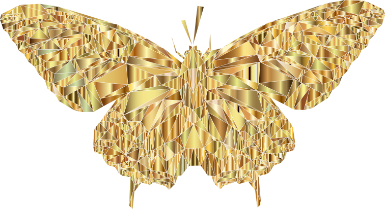 Low Poly Butterfly Prismatic 9