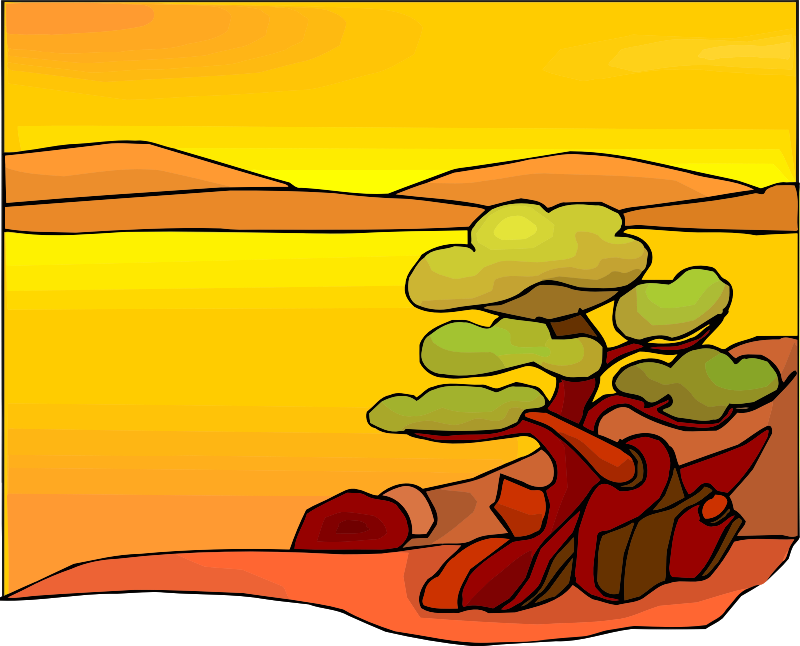 Tree 14