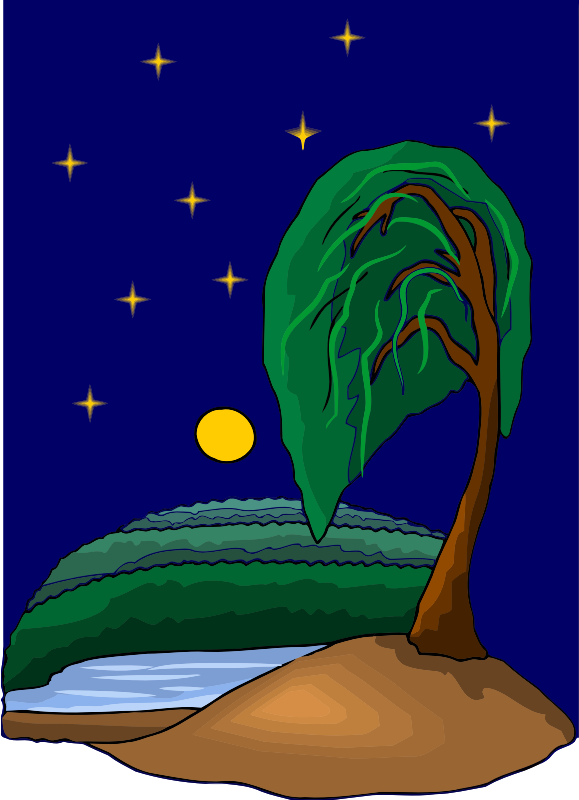 Tree 19