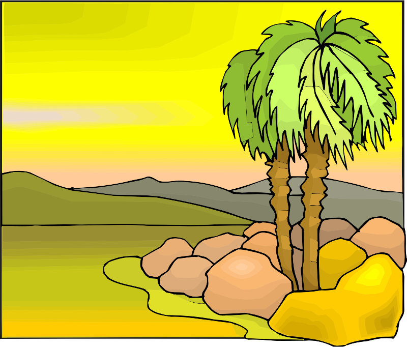 Tree 24