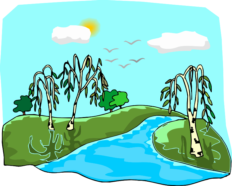 Tree 70