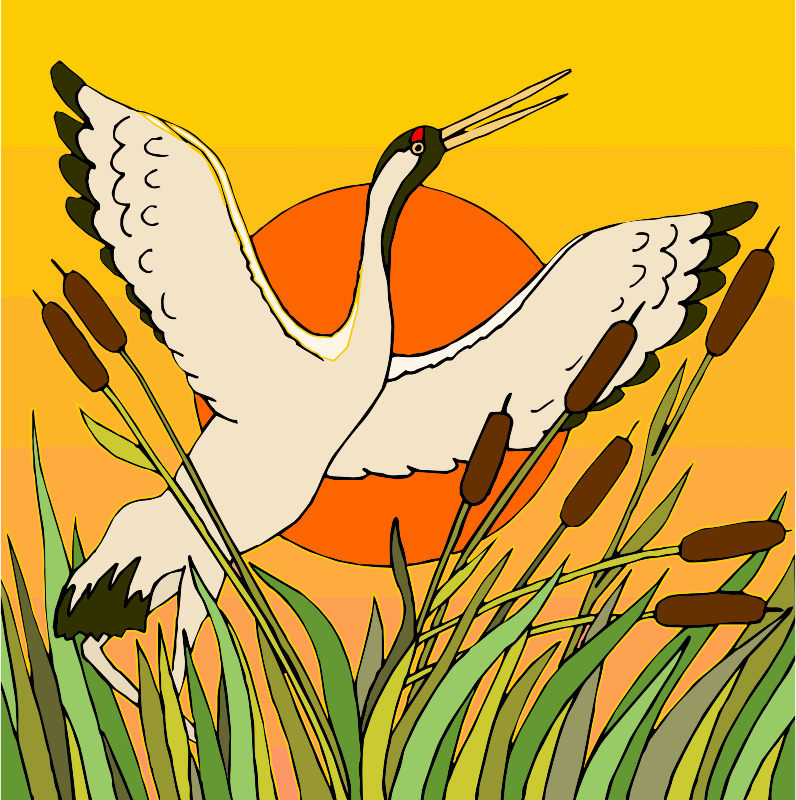 Birds 6