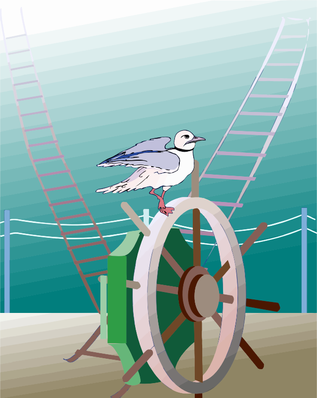 Seagull 2