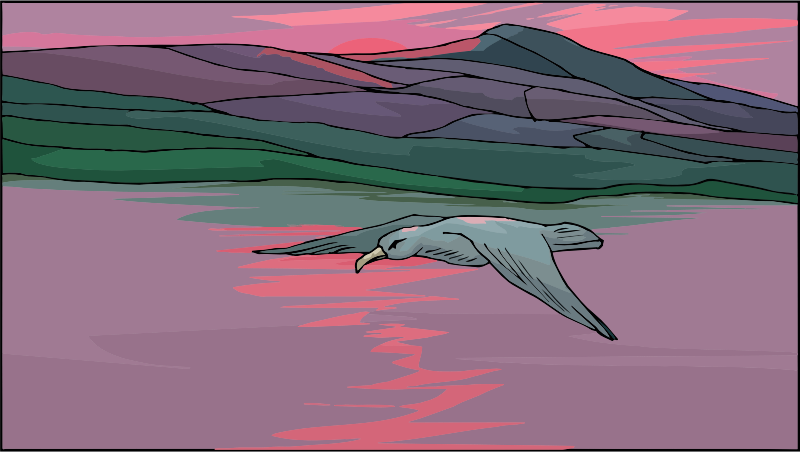 Seagull 3