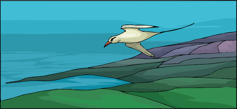 Flying bird