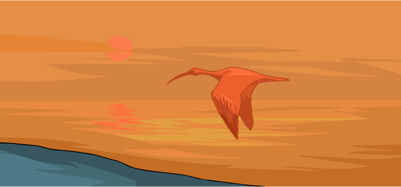 Flying bird 2